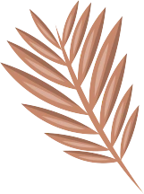 IntelKenya | Tech Solutions for All: POS, Apps, Cybersecurity